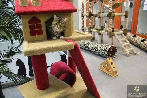 Photo: The Pets Hotel